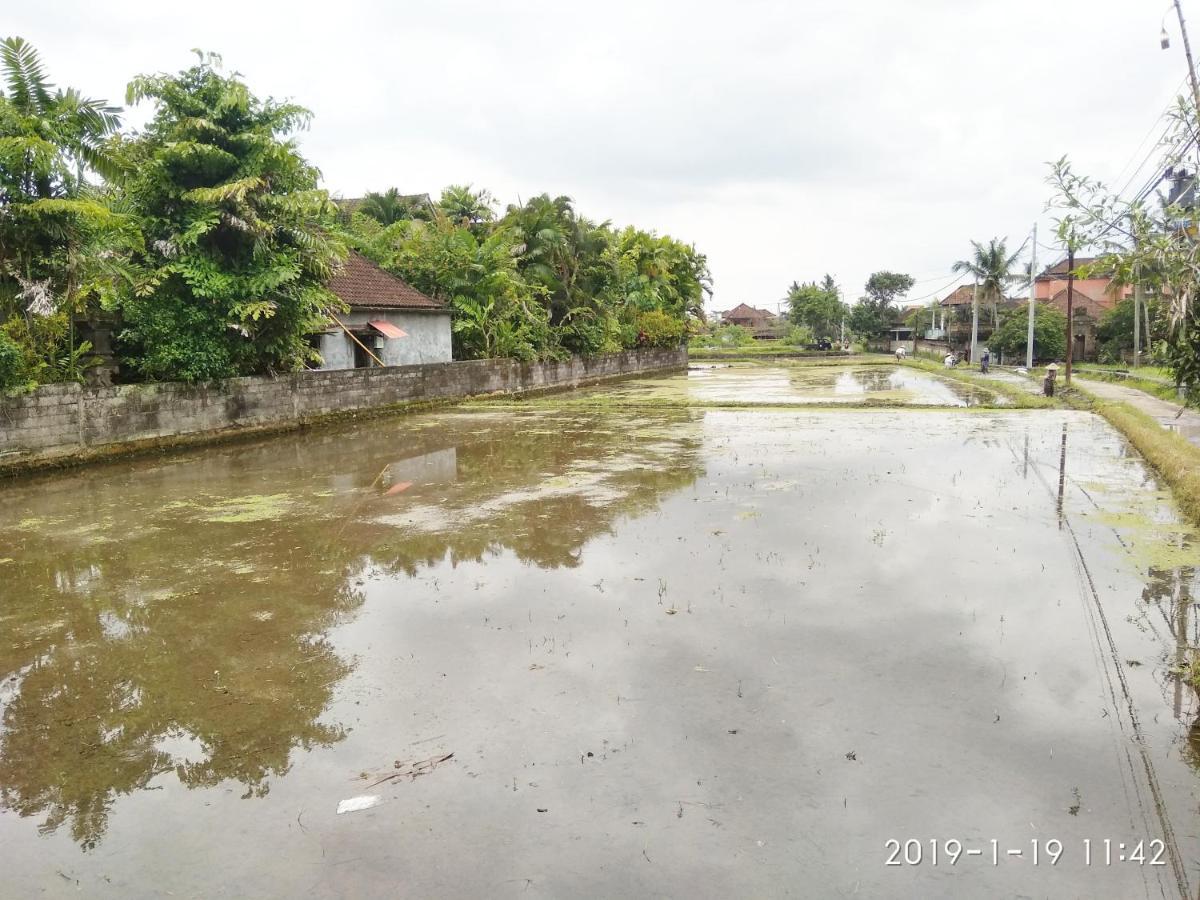 Bhuana Alit 2 Ubud エクステリア 写真