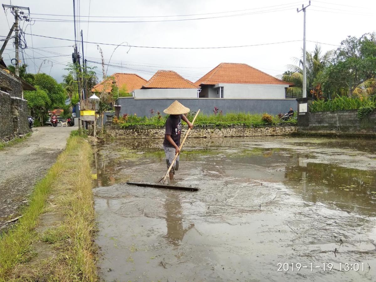 Bhuana Alit 2 Ubud エクステリア 写真