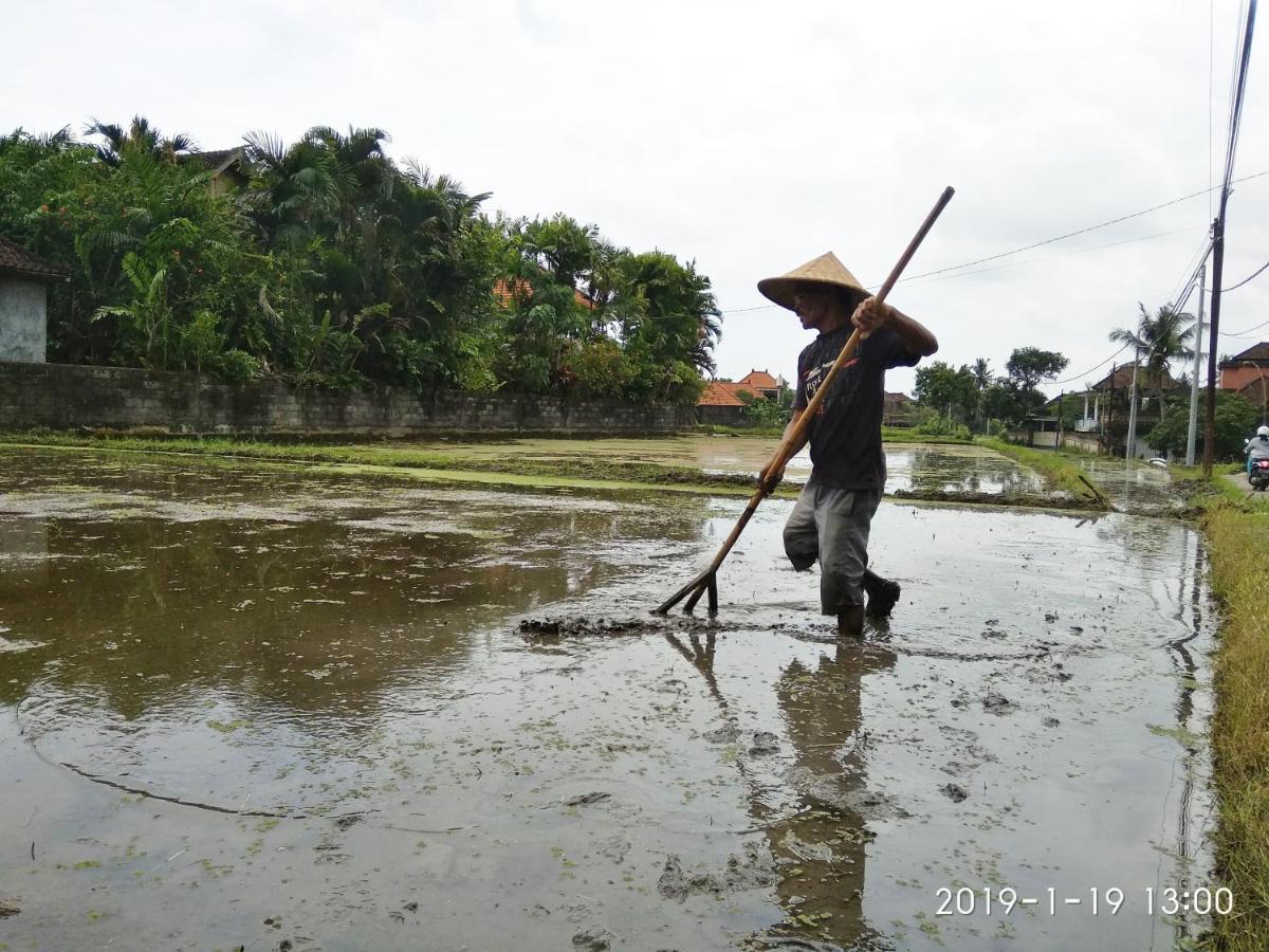 Bhuana Alit 2 Ubud エクステリア 写真